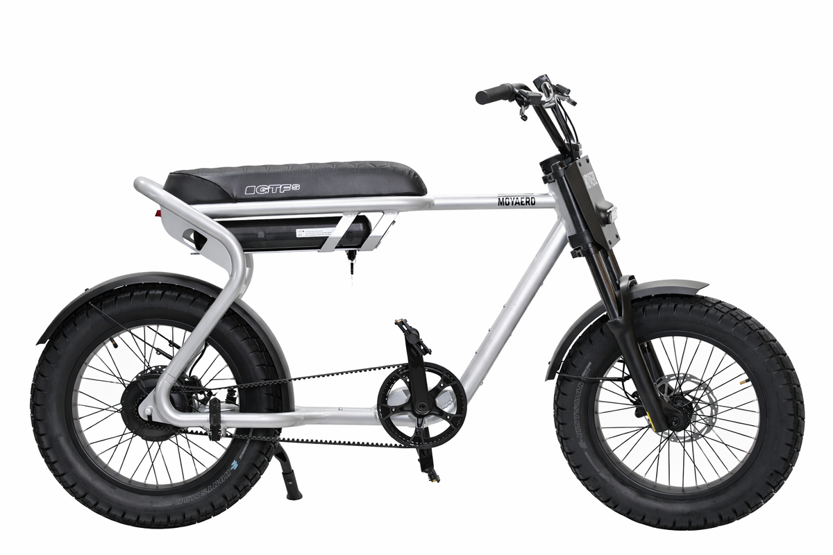 Moyaerd GTFs Steel Silver