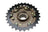 Shimano MF-TZ500 14-28 Freewheel