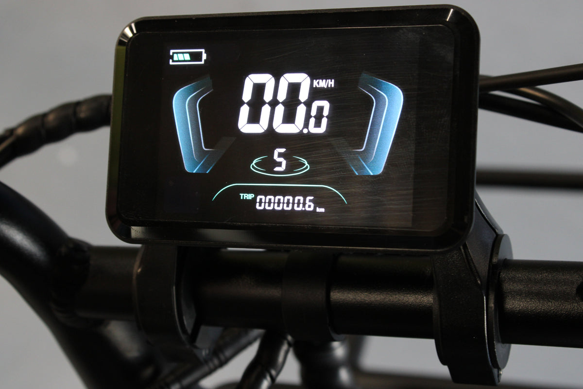Moyaerd LCD Display Fatbike