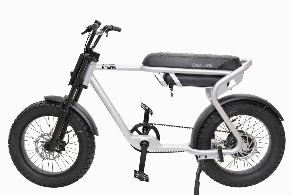 Moyaerd GTFs Steel Silver