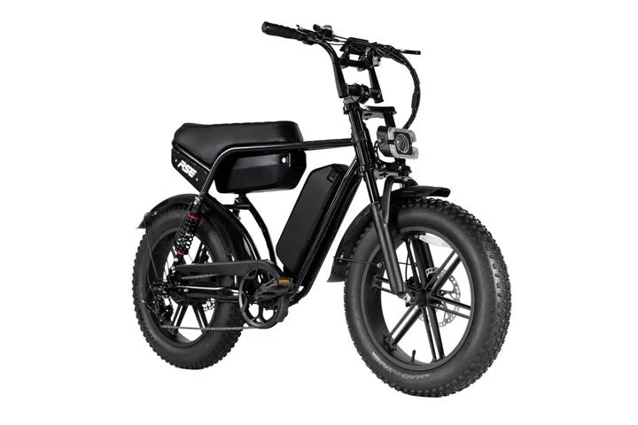 RSE Fatbike 20 inch 7v *Dubbele Accu* Zwart