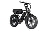 RSE Fatbike 20 inch 7v *Dubbele Accu* Zwart