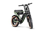 RSE Fatbike 20 inch 7v *Dubbele Accu* Groen