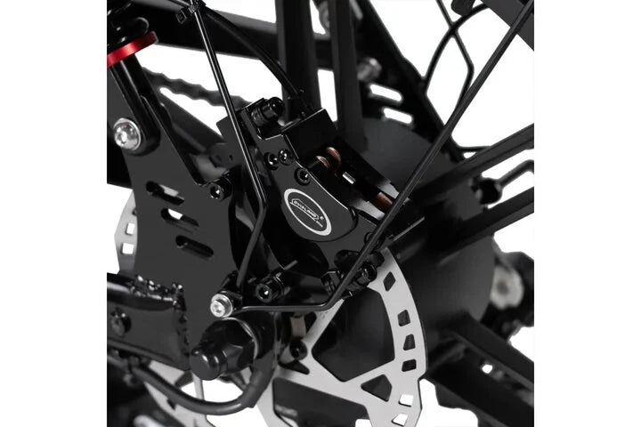 RSE Fatbike 20 inch 7v *Dubbele Accu* Zwart